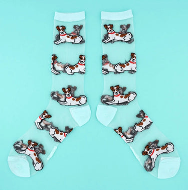Chaussettes Transparentes Jack Russel
